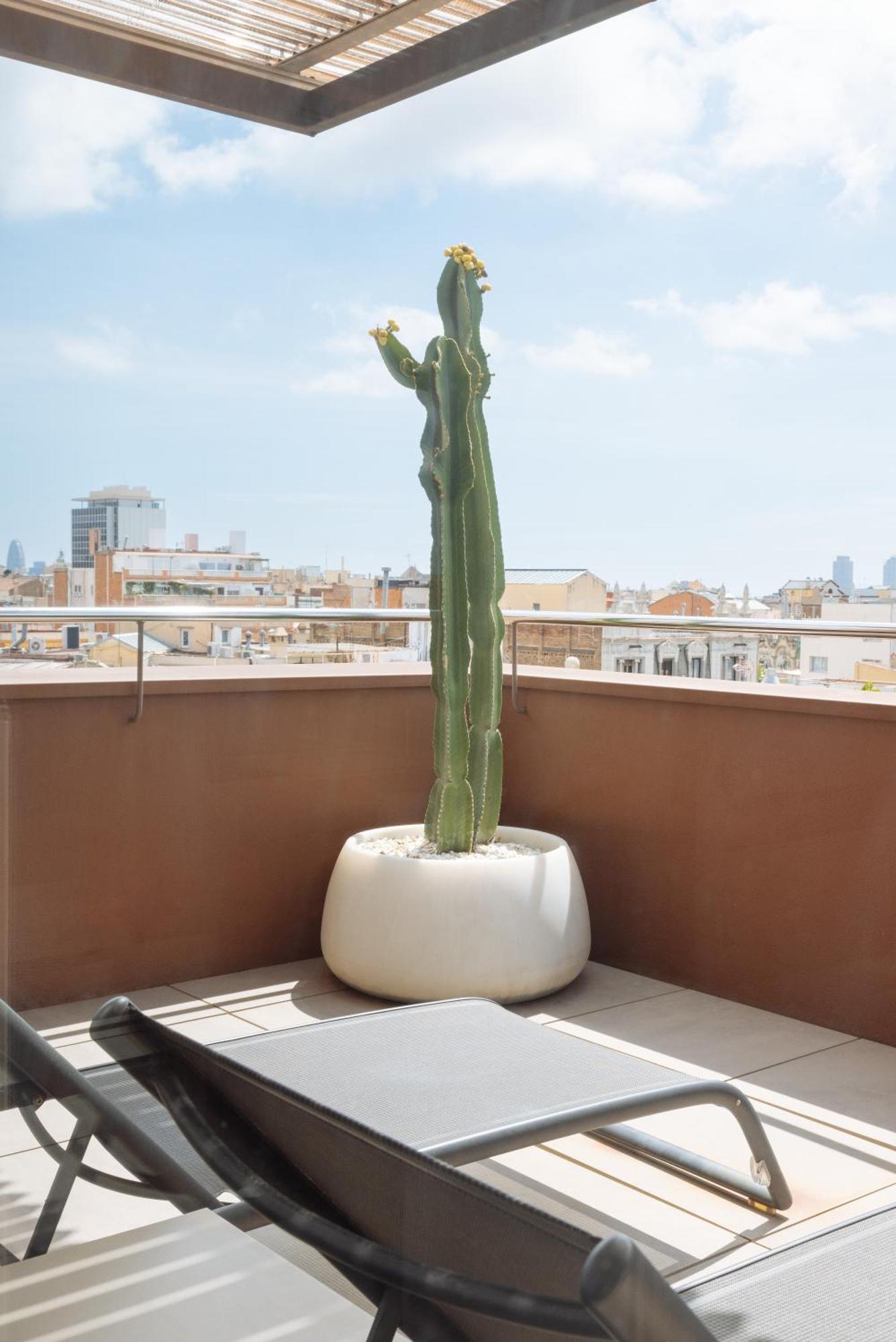Privilege Double Room Terrace